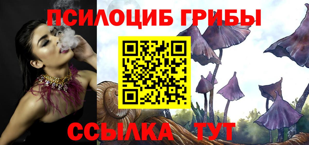 Зеленодольск  Псилоцибиновые грибы мухоморы  Вход с VPN 